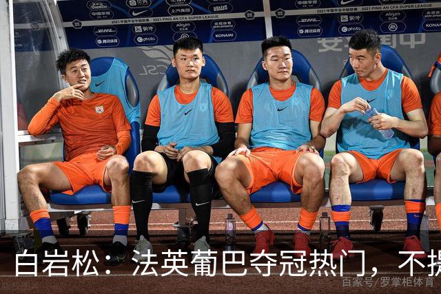 白岩松：法英葡巴夺冠热门，不提阿根廷因为是真喜欢我怕我像贝利